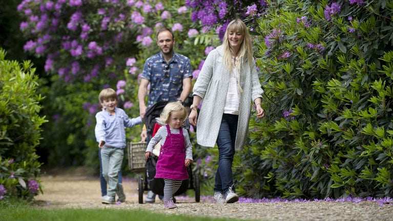 A family walking through the garden at Claremont Landscape Garden in Surrey surrounded by purple rhododendron flowers